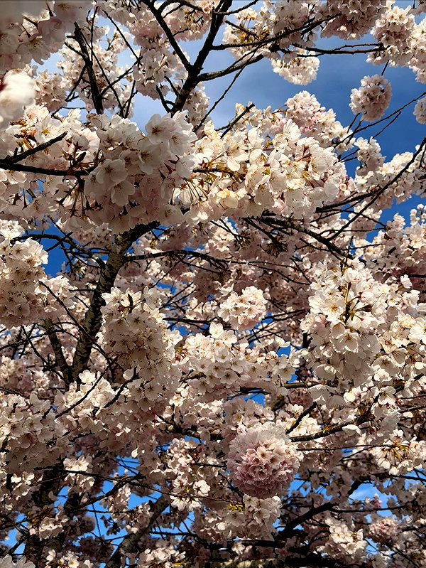 bbyambi instagram image archive image