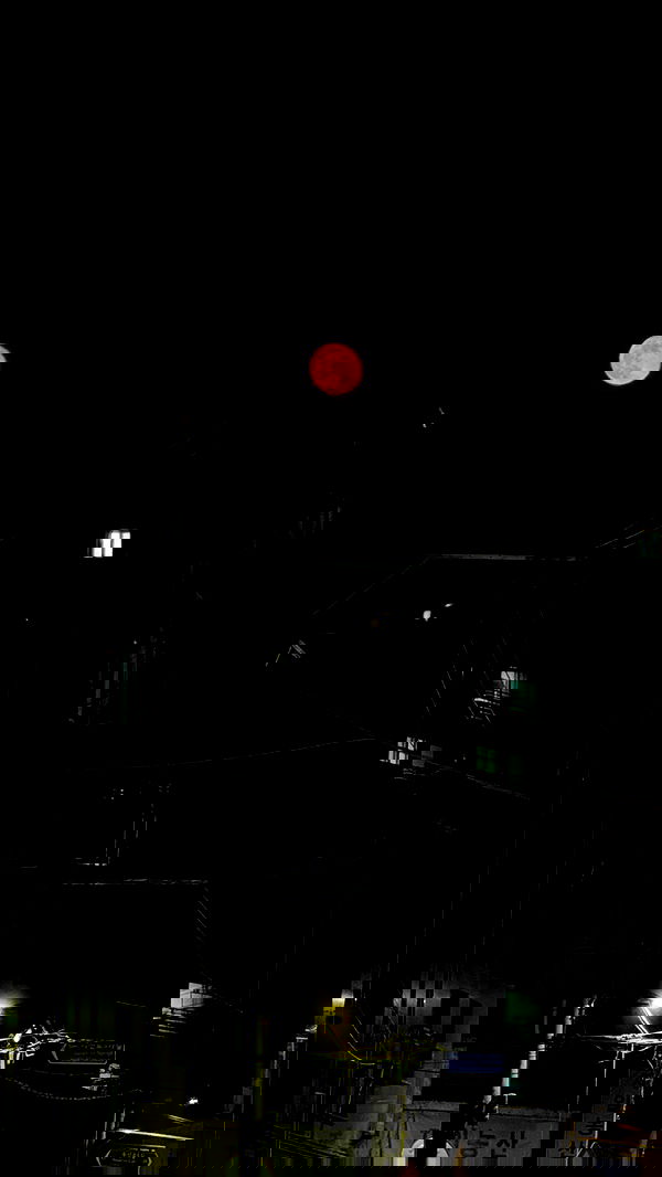 eliya.ho eliya.ho archive image