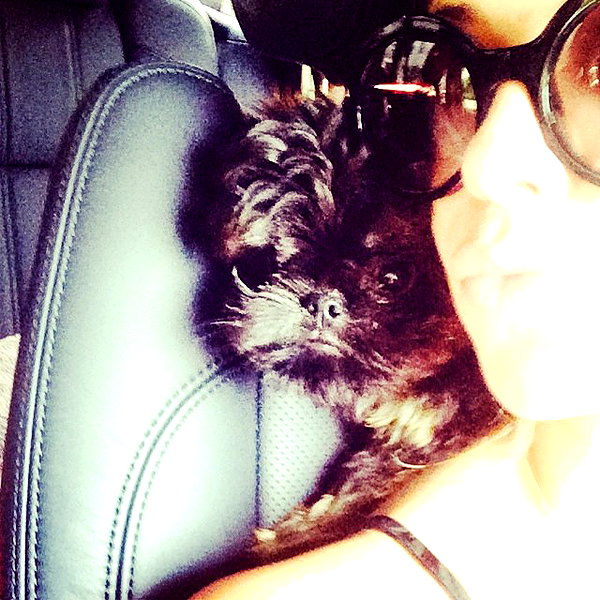 ashleybenson instagram image archive image