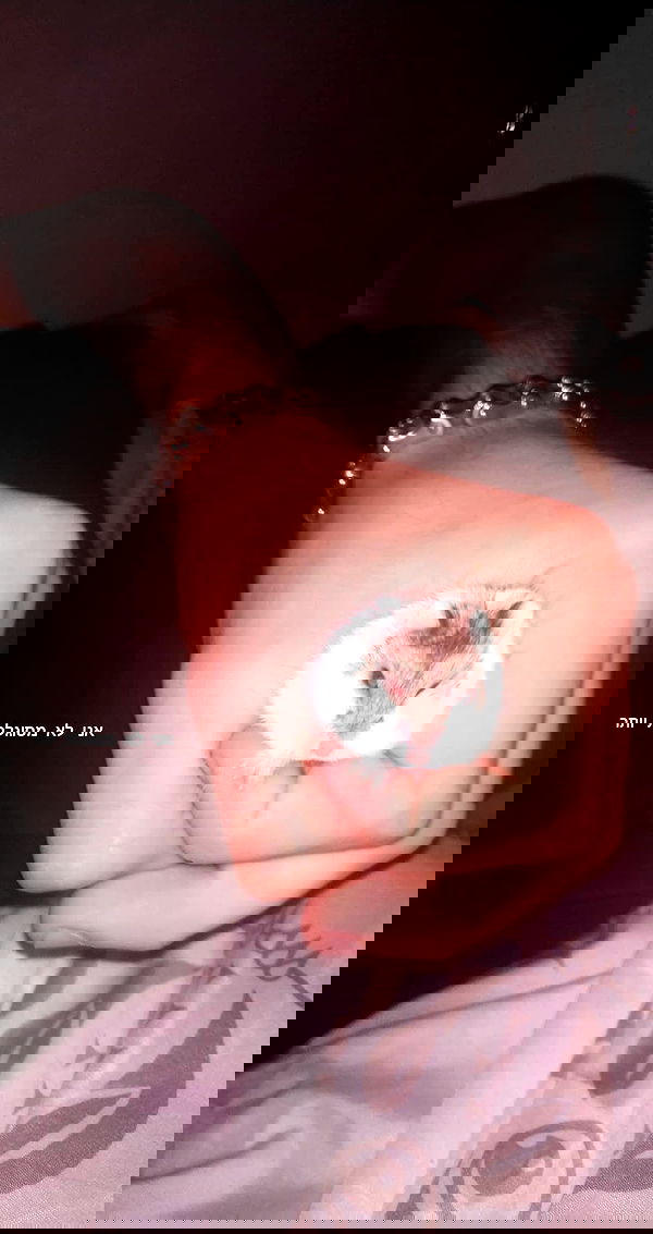 noyaislilith333 noyaislilith333 archive image