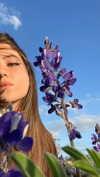 balilishon Altpins Profile Picture