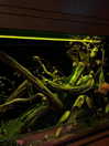 kteaworld Altpins Profile Picture