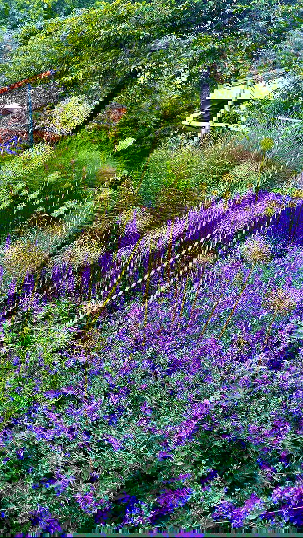 taylor.creeden taylor.creeden archive image