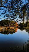 nikoleta.milenova Altpins Profile Picture