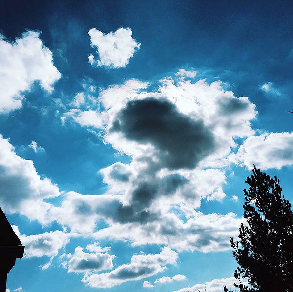 hallucineon instagram image archive image