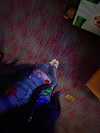 astarwbry_ Altpins Profile Picture
