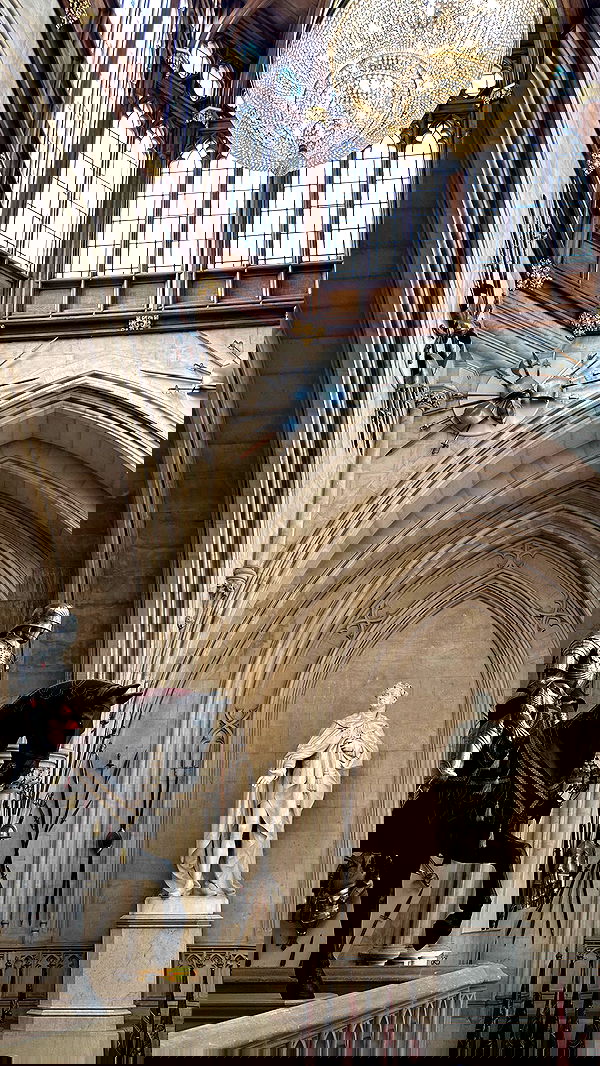 taylor.creeden taylor.creeden archive image