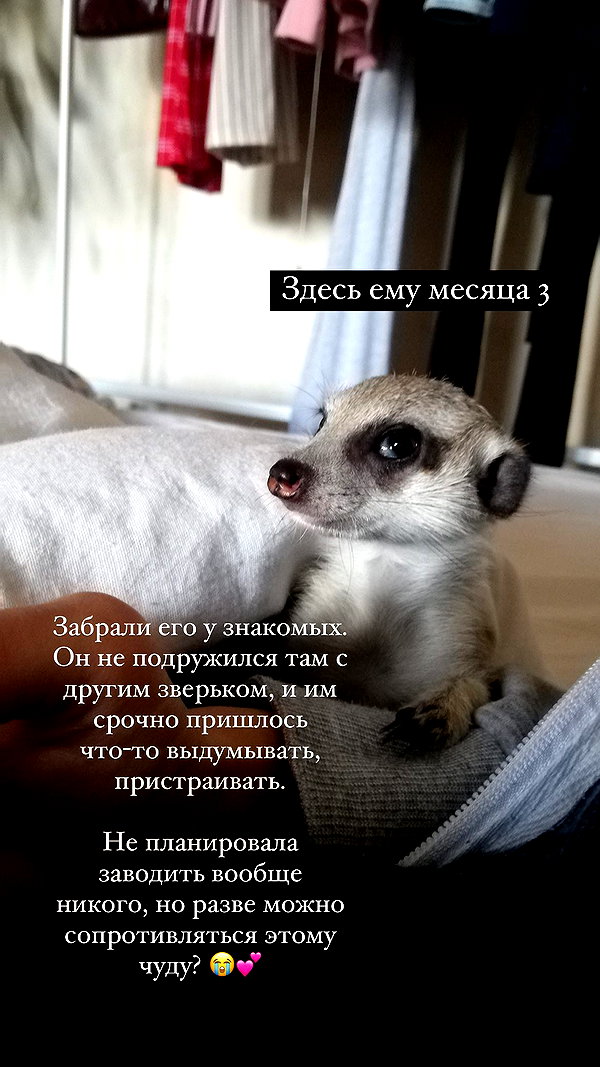 belok_bero instagram image archive image