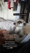 belok_bero Altpins Profile Picture