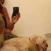 hadas_mayer_ Altpins Profile Picture
