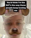 sp1der_eggs Altpins Profile Picture