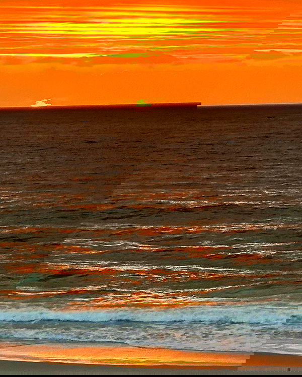 taylor.creeden taylor.creeden archive image