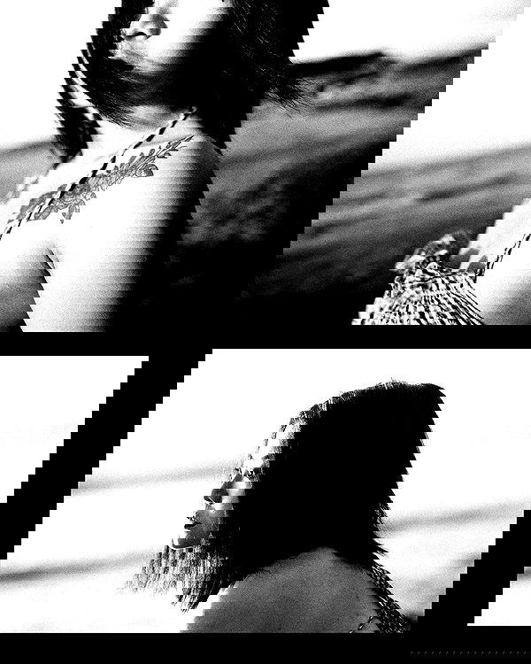 ting851204 ting851204 archive image