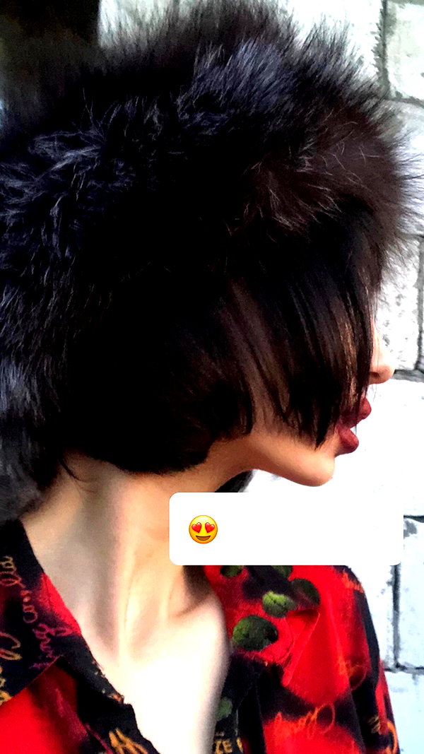 stea0diness instagram image archive image