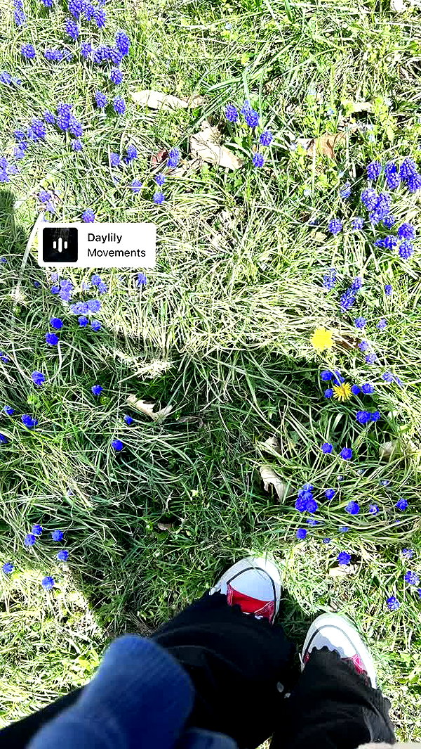 twodollie instagram image archive image