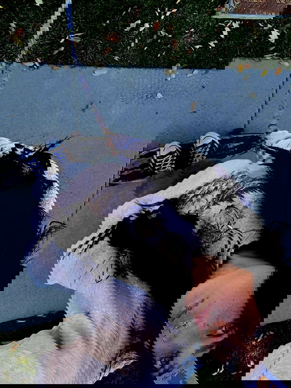 _animechika_ image ~ Altpins