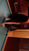 kaleenaisabell Altpins Profile Picture