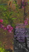 alisen.mari Altpins Profile Picture