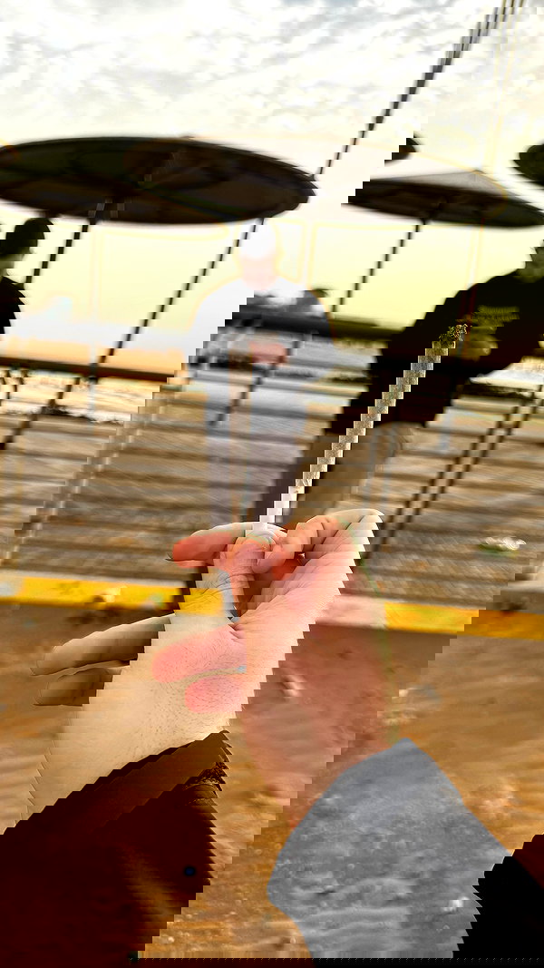 assoolin assoolin archive image