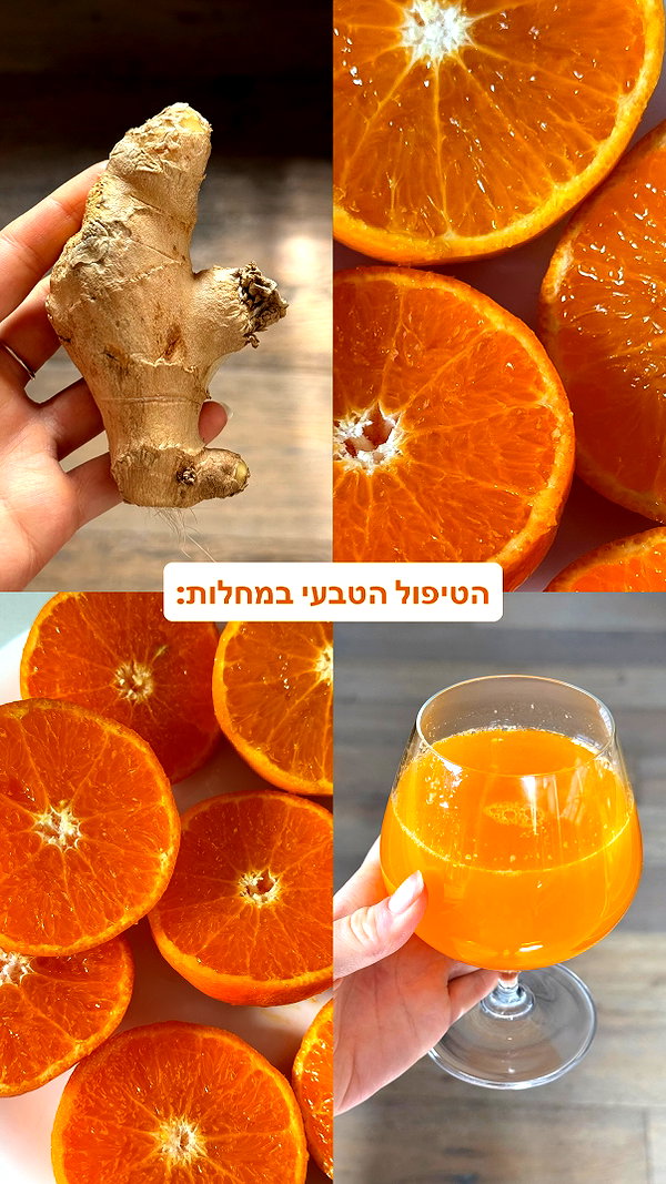 lital.oss instagram image archive image