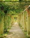 __rrenard__ Altpins Profile Picture