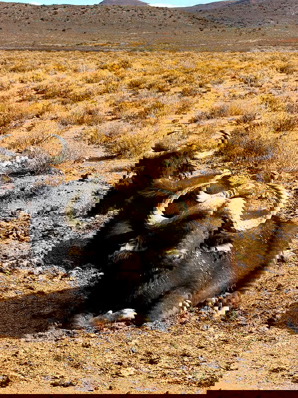 taylor.creeden taylor.creeden archive image