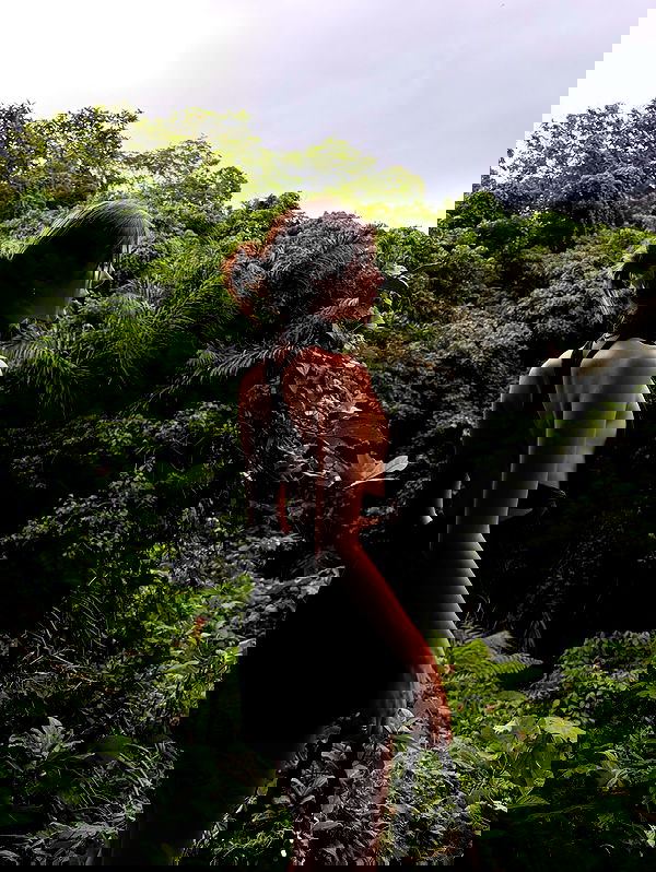 taylor.creeden taylor.creeden archive image