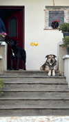 _urbaneva Altpins Profile Picture