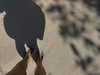 kyliejenner Altpins Profile Picture