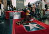 avrillavigne Altpins Profile Picture