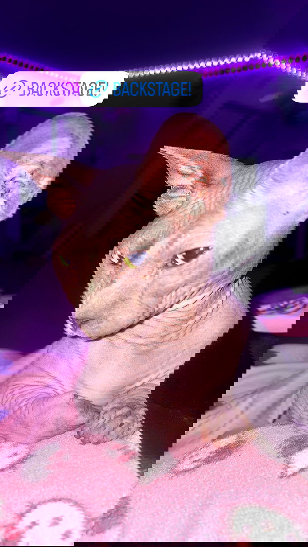 iluvmeww iluvmeww archive image