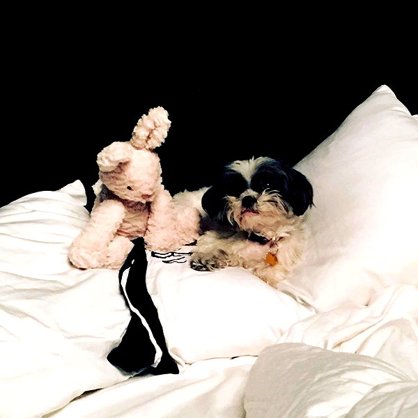 ashleybenson instagram image archive image