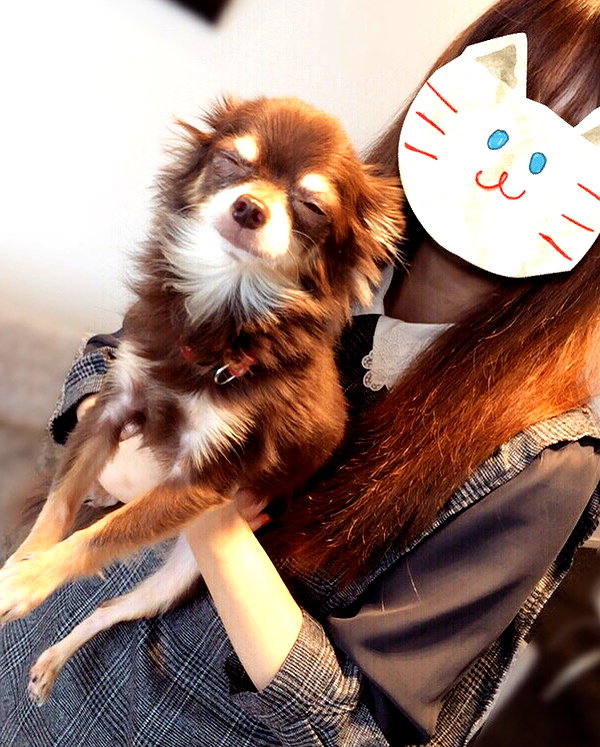 enakorin instagram image archive image