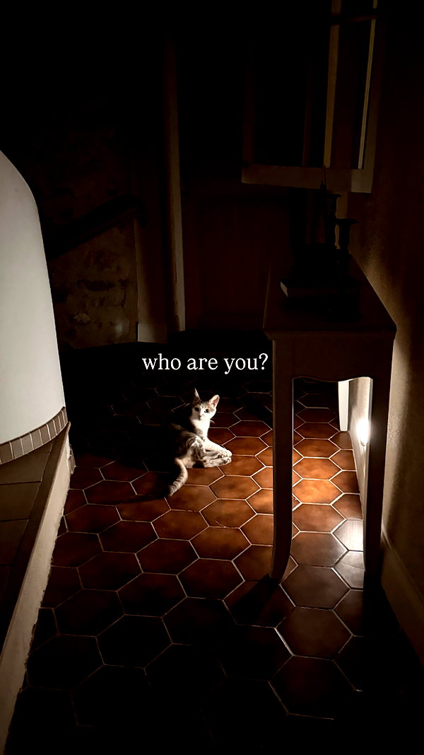 lollinski instagram image archive image