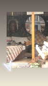 bat.wiings Altpins Profile Picture