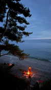stranstviepera Altpins Profile Picture
