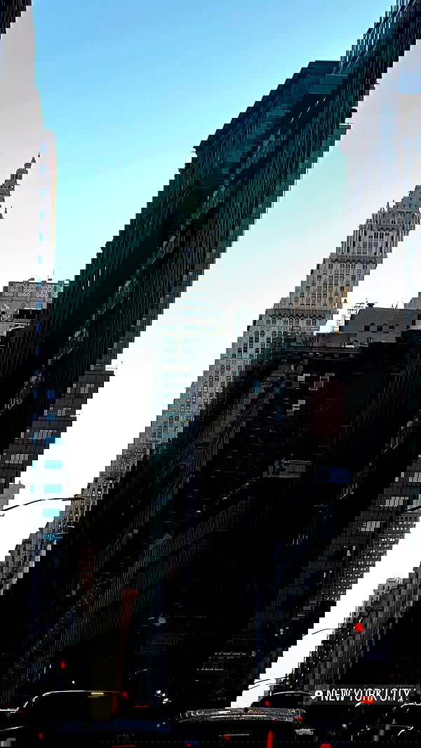 taylor.creeden taylor.creeden archive image