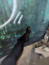 daryanedarya Altpins Profile Picture