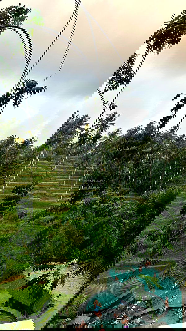 taylor.creeden taylor.creeden archive image