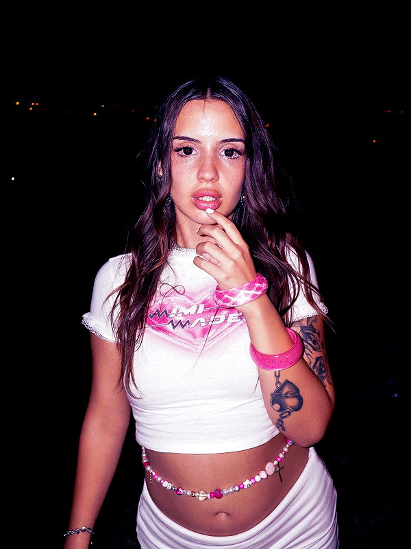 rosessativa instagram image archive image
