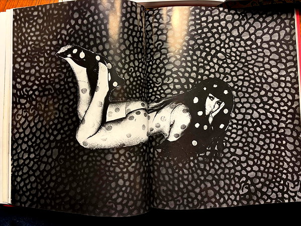 taratornquist instagram image archive image