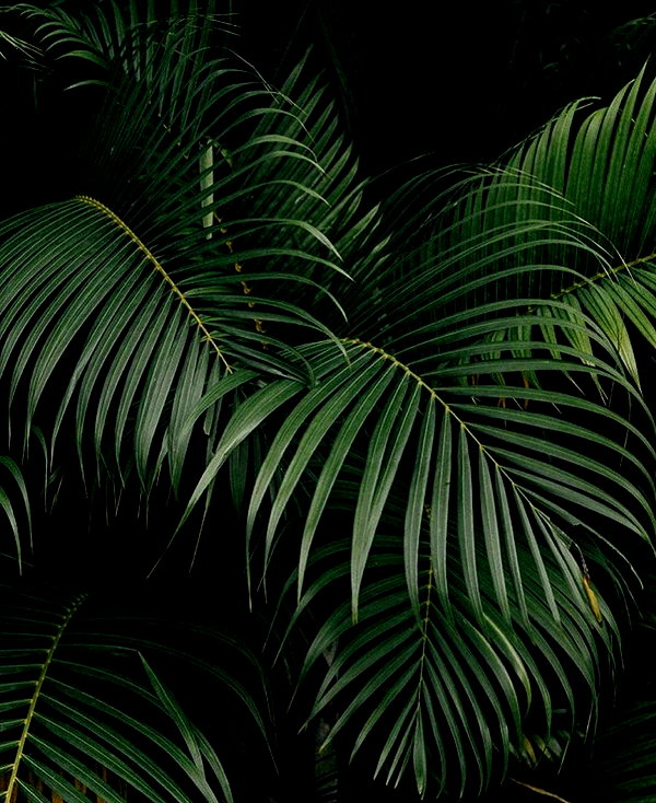 sophadophaa_ instagram image archive image