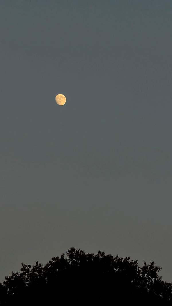 _lironatias instagram image archive image