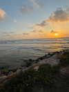 nicole.shpo Altpins Profile Picture