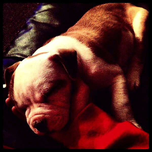 lilbieber instagram image archive image