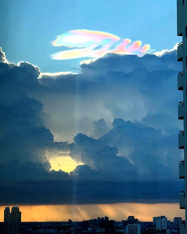 bad.toy instagram image archive image