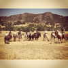 lucyhale Altpins Profile Picture