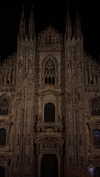 katia_z.k Altpins Profile Picture