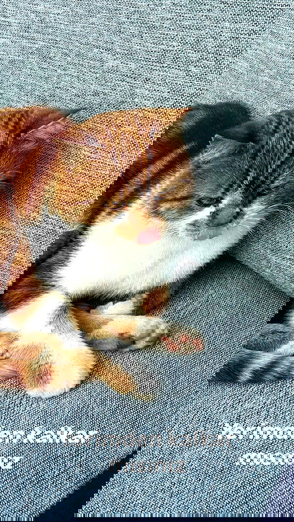 e.eelisha e.eelisha archive image