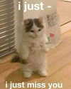 milkiwifey Altpins Profile Picture